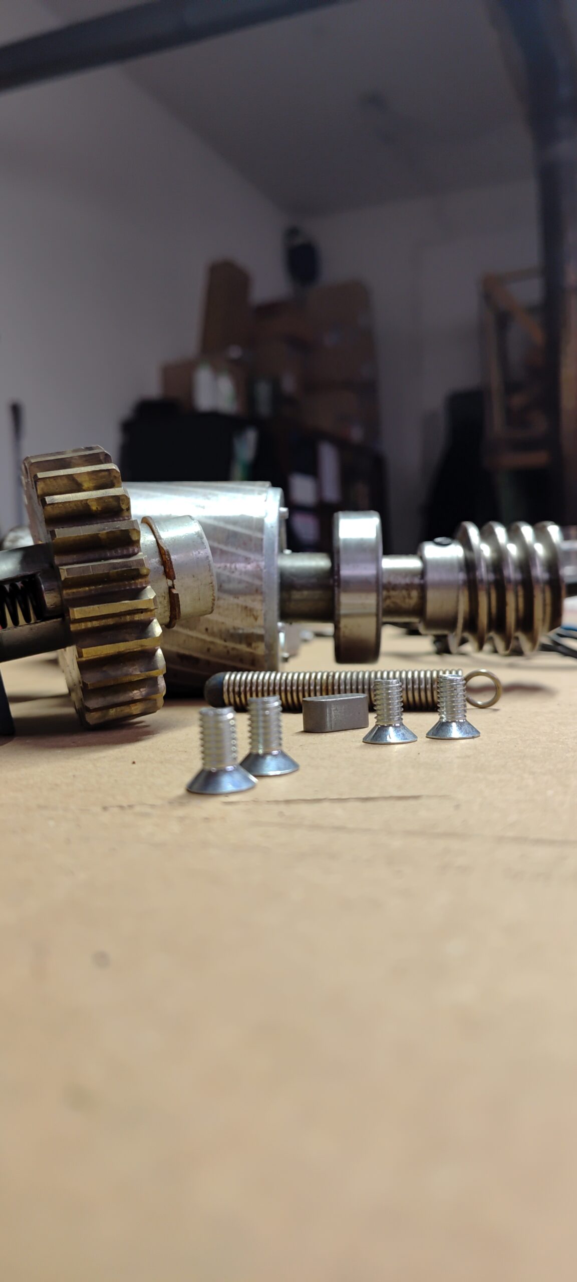 RO300 kompletna ślimacznica oraz silnik (wirnik i stojan) – remont automatyki bramy przesuwnej